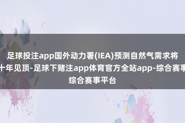 足球投注app国外动力署(IEA)预测自然气需求将在本十年见顶-足球下赌注app体育官方全站app-综合赛事平台