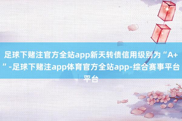 足球下赌注官方全站app新天转债信用级别为“A+”-足球下赌注app体育官方全站app-综合赛事平台