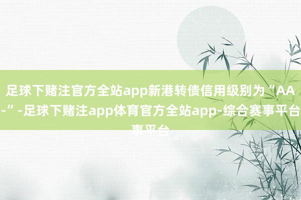 足球下赌注官方全站app新港转债信用级别为“AA-”-足球下赌注app体育官方全站app-综合赛事平台