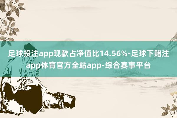 足球投注app现款占净值比14.56%-足球下赌注app体育官方全站app-综合赛事平台