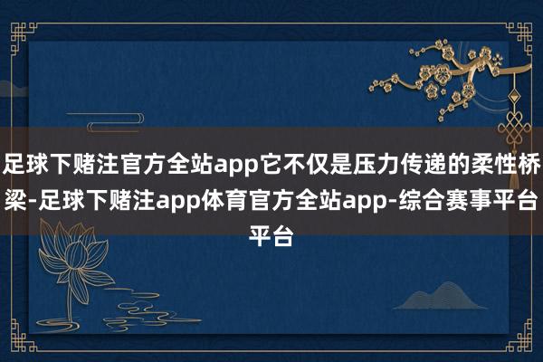 足球下赌注官方全站app它不仅是压力传递的柔性桥梁-足球下赌注app体育官方全站app-综合赛事平台