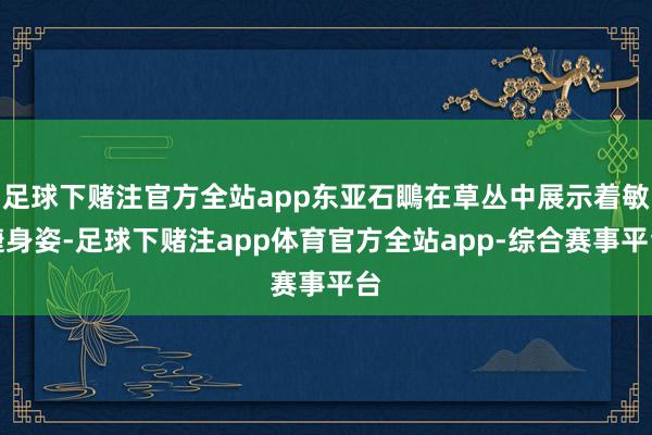 足球下赌注官方全站app东亚石䳭在草丛中展示着敏捷身姿-足球下赌注app体育官方全站app-综合赛事平台