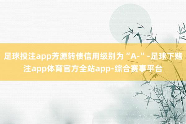 足球投注app芳源转债信用级别为“A-”-足球下赌注app体育官方全站app-综合赛事平台