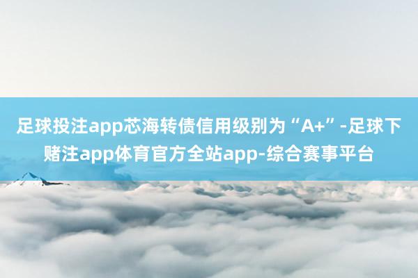 足球投注app芯海转债信用级别为“A+”-足球下赌注app体育官方全站app-综合赛事平台