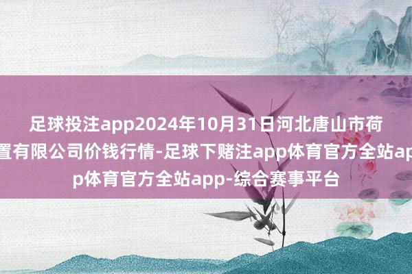 足球投注app2024年10月31日河北唐山市荷花坑商场筹算措置有限公司价钱行情-足球下赌注app体育官方全站app-综合赛事平台