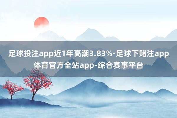 足球投注app近1年高潮3.83%-足球下赌注app体育官方全站app-综合赛事平台