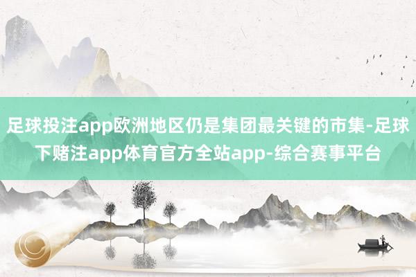 足球投注app欧洲地区仍是集团最关键的市集-足球下赌注app体育官方全站app-综合赛事平台