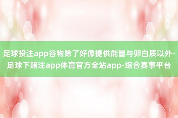 足球投注app谷物除了好像提供能量与卵白质以外-足球下赌注app体育官方全站app-综合赛事平台