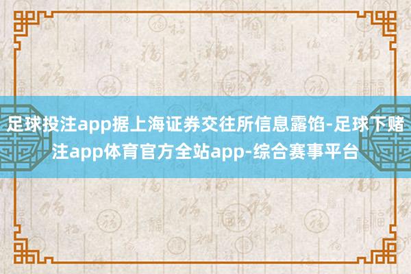 足球投注app据上海证券交往所信息露馅-足球下赌注app体育官方全站app-综合赛事平台