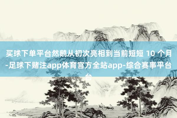 买球下单平台然鹅从初次亮相到当前短短 10 个月-足球下赌注app体育官方全站app-综合赛事平台