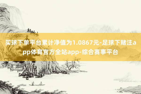 买球下单平台累计净值为1.0867元-足球下赌注app体育官方全站app-综合赛事平台