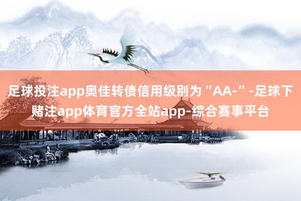 足球投注app奥佳转债信用级别为“AA-”-足球下赌注app体育官方全站app-综合赛事平台