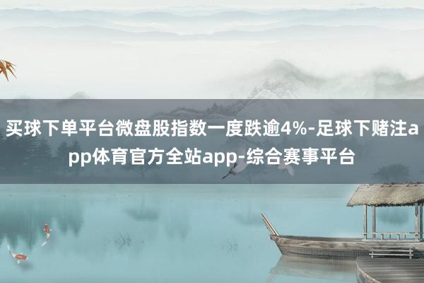 买球下单平台微盘股指数一度跌逾4%-足球下赌注app体育官方全站app-综合赛事平台