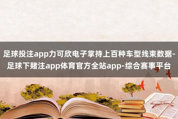 足球投注app力可欣电子掌持上百种车型线束数据-足球下赌注app体育官方全站app-综合赛事平台