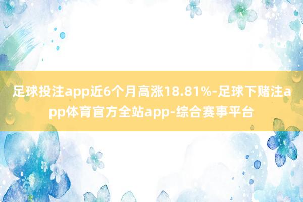 足球投注app近6个月高涨18.81%-足球下赌注app体育官方全站app-综合赛事平台