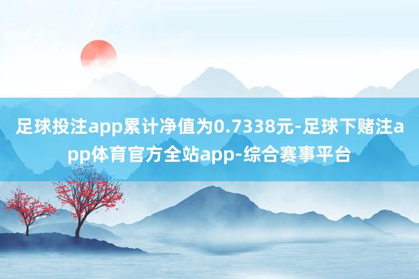 足球投注app累计净值为0.7338元-足球下赌注app体育官方全站app-综合赛事平台