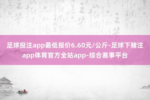 足球投注app最低报价6.60元/公斤-足球下赌注app体育官方全站app-综合赛事平台