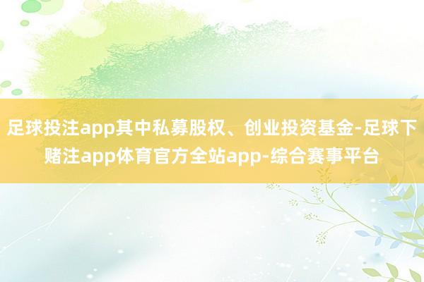 足球投注app其中私募股权、创业投资基金-足球下赌注app体育官方全站app-综合赛事平台